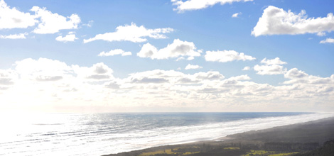 Muriwai Beach Auckland NZ location gallery